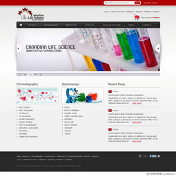 加拿大WebDesignerPS網(wǎng)頁設(shè)計(jì)作品集（四） 創(chuàng)新、簡(jiǎn)約與用戶體驗(yàn)的完美融合